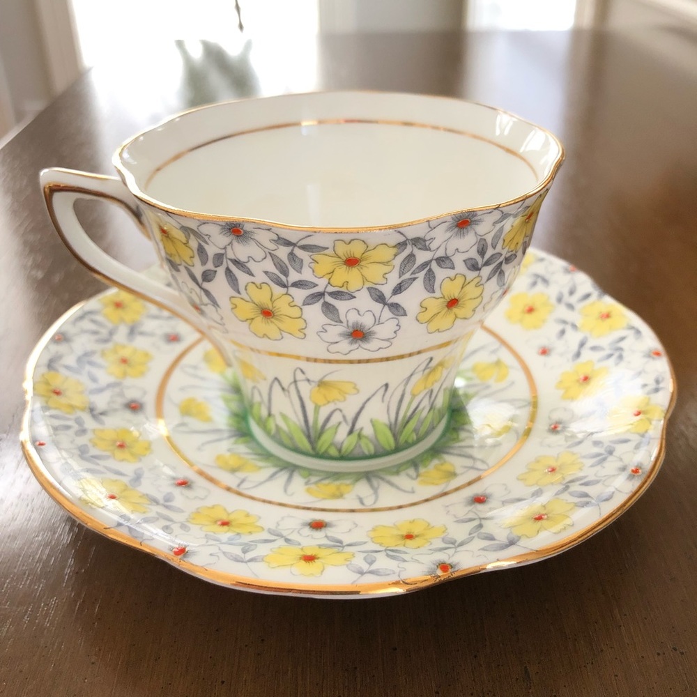Rosina Bone China #4966 Tea Cup and Saucer EUC